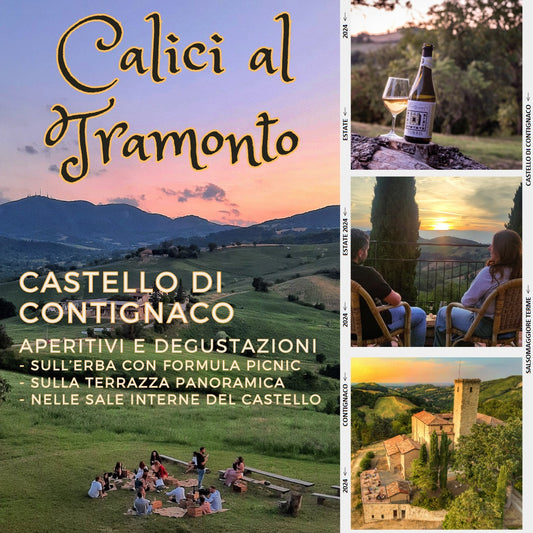 Calici in Castello - Aperitifs and Tastings