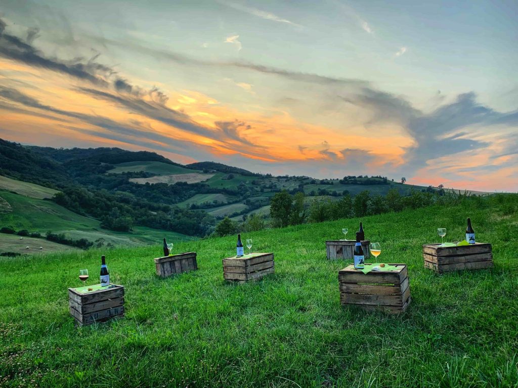 Calici al Tramonto - Speciali San Lorenzo e Ferragosto