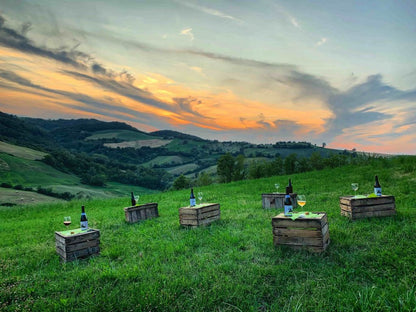 Calici al Tramonto - Speciali San Lorenzo e Ferragosto